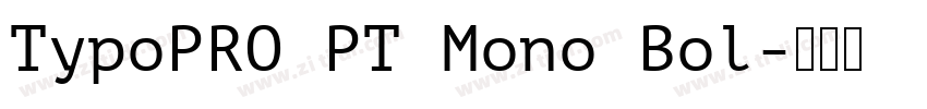 TypoPRO PT Mono Bol字体转换